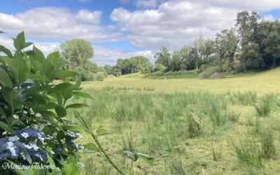 Psychothérapie à Spézet et en Centre-Bretagne